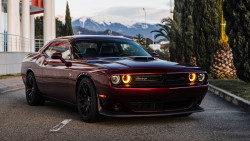 Аренда Dodge Challenger в Сочи
