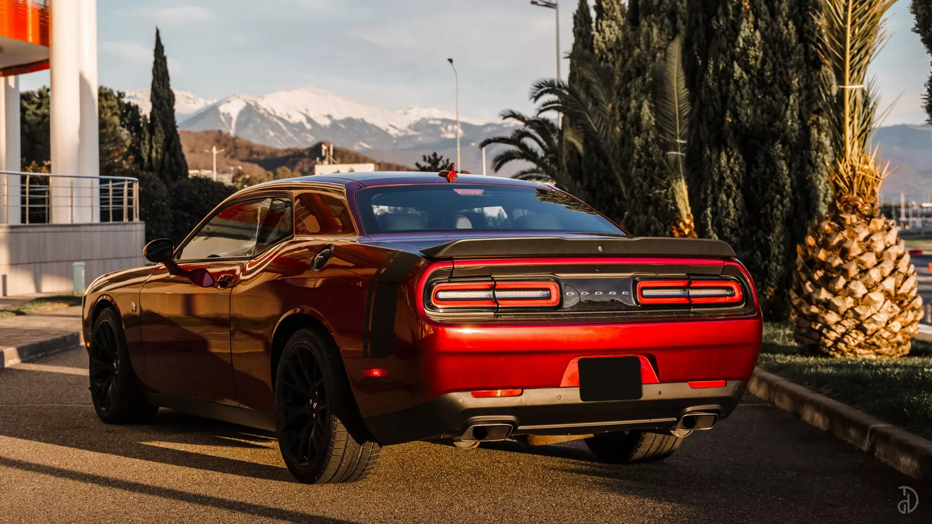 Аренда Dodge Challenger в Сочи. Фото 2