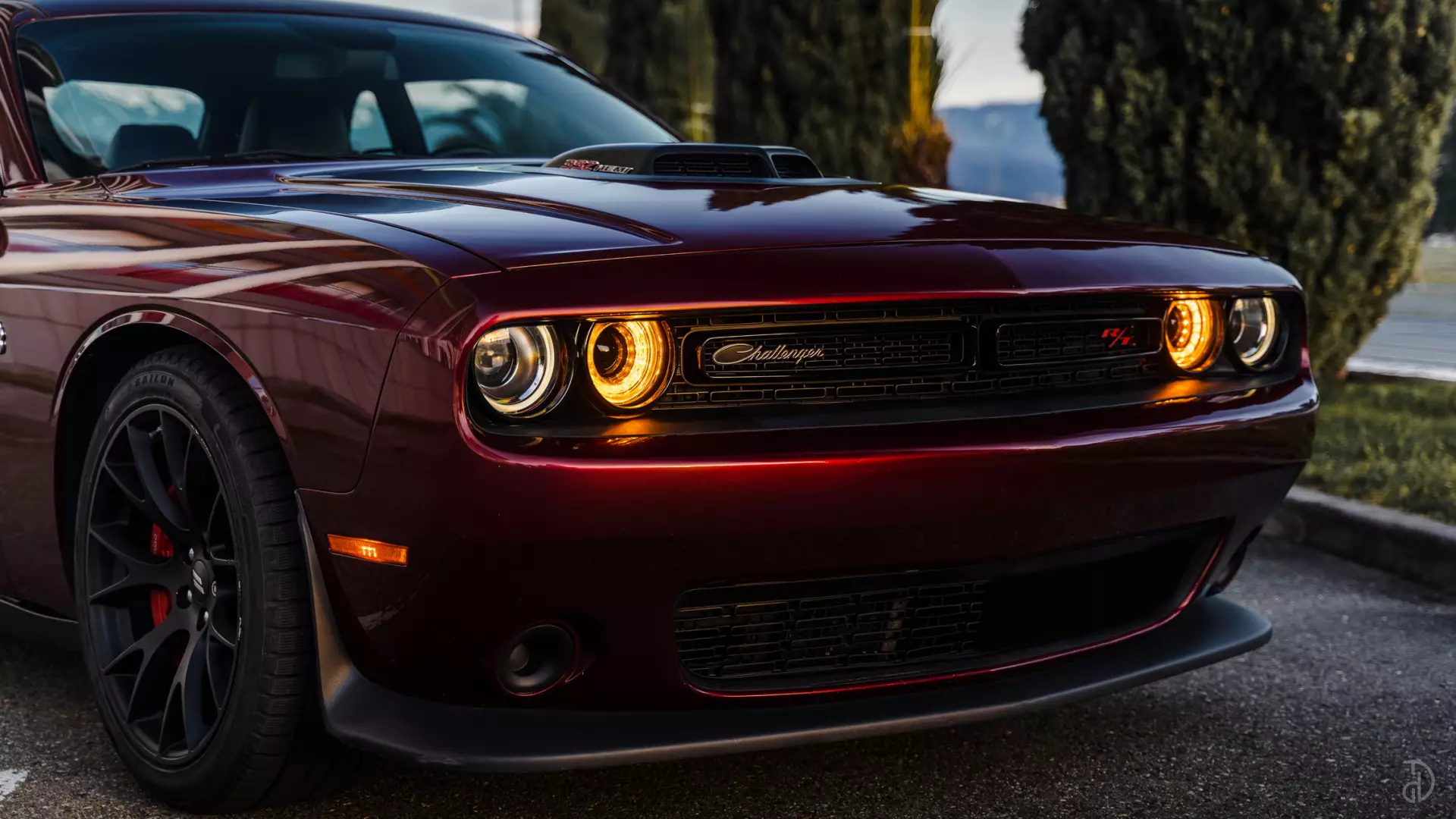 Аренда Dodge Challenger в Сочи. Фото 3