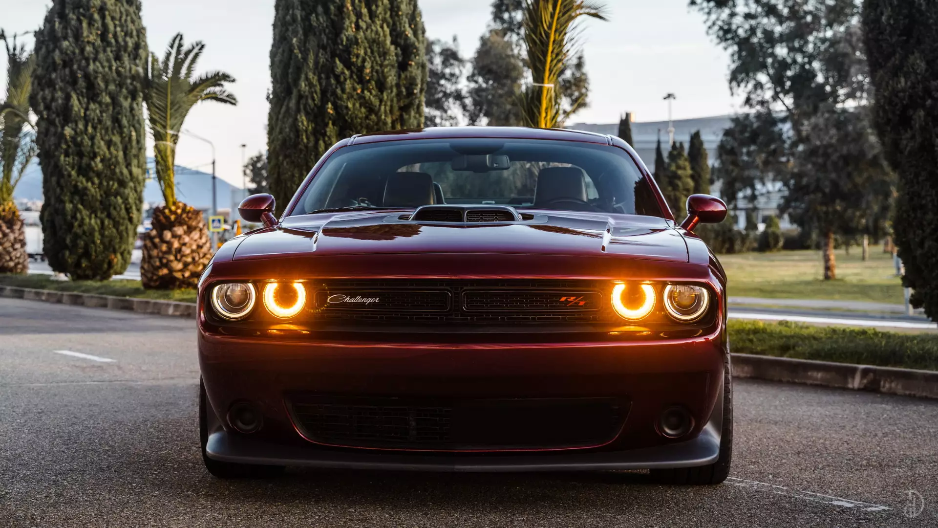 Аренда Dodge Challenger в Сочи. Фото 4