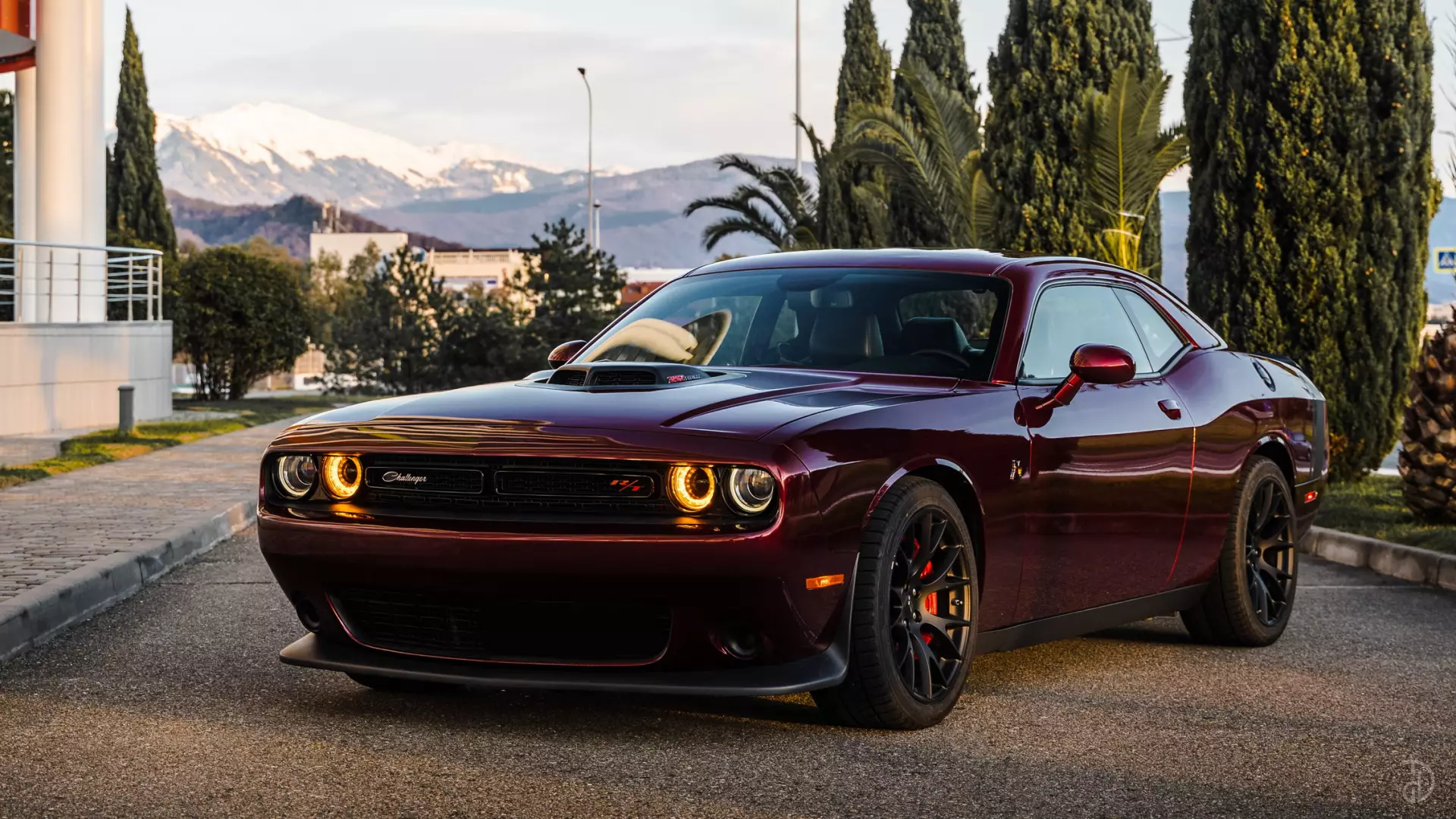 Аренда Dodge Challenger в Сочи. Фото 12