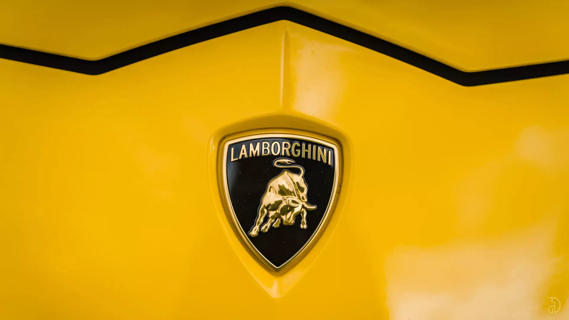 Аренда Lamborghini Urus в Сочи. Фото 23
