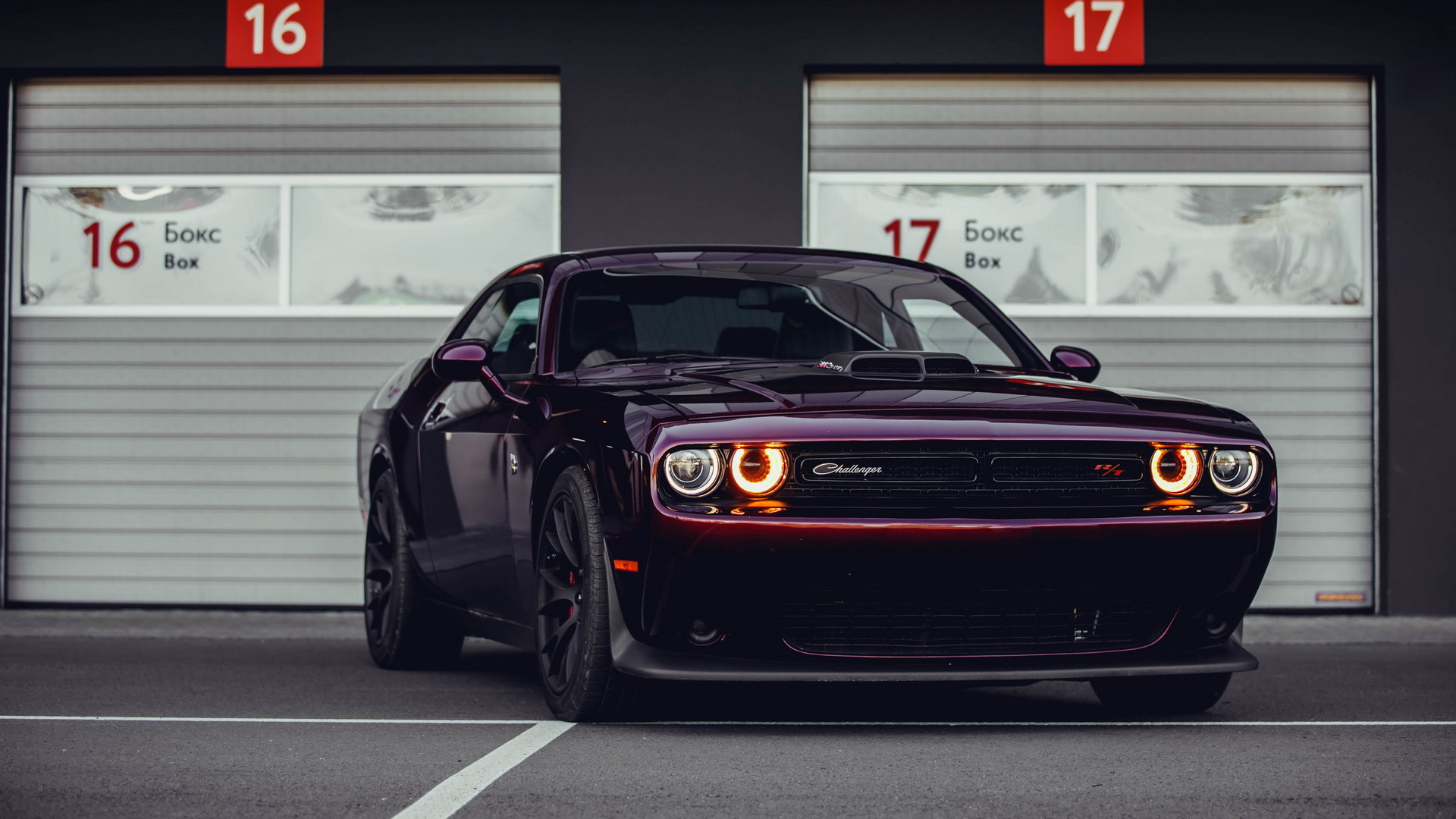 Аренда Dodge Challenger в Москве
